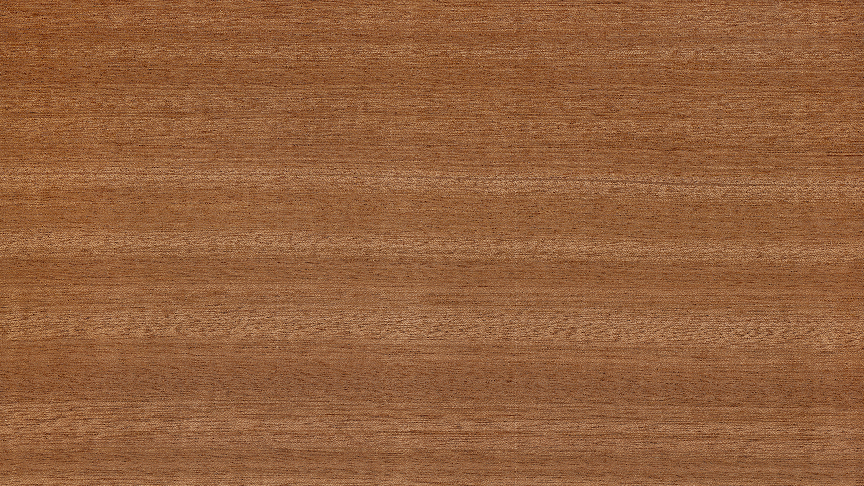 Planed Sapele